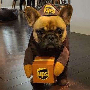 Meet your Posher, Sanjay